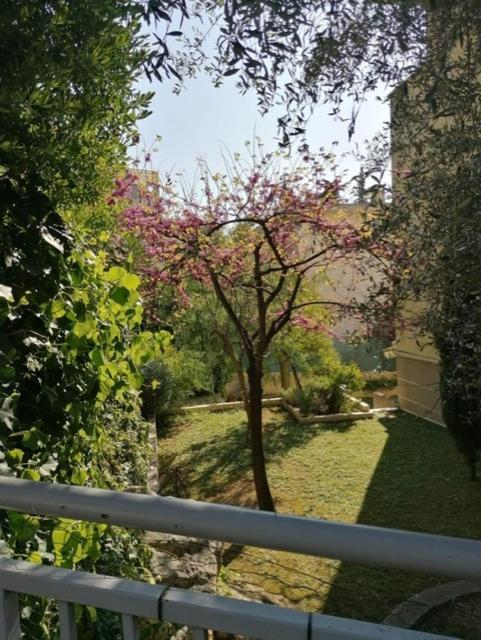 Villa Soraya , Quiet Location With Big Garden Near Beach And Old Town Of Nice Exteriör bild